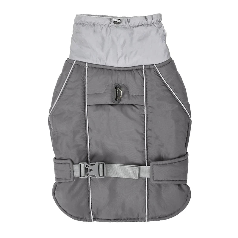Imperméable pour chien