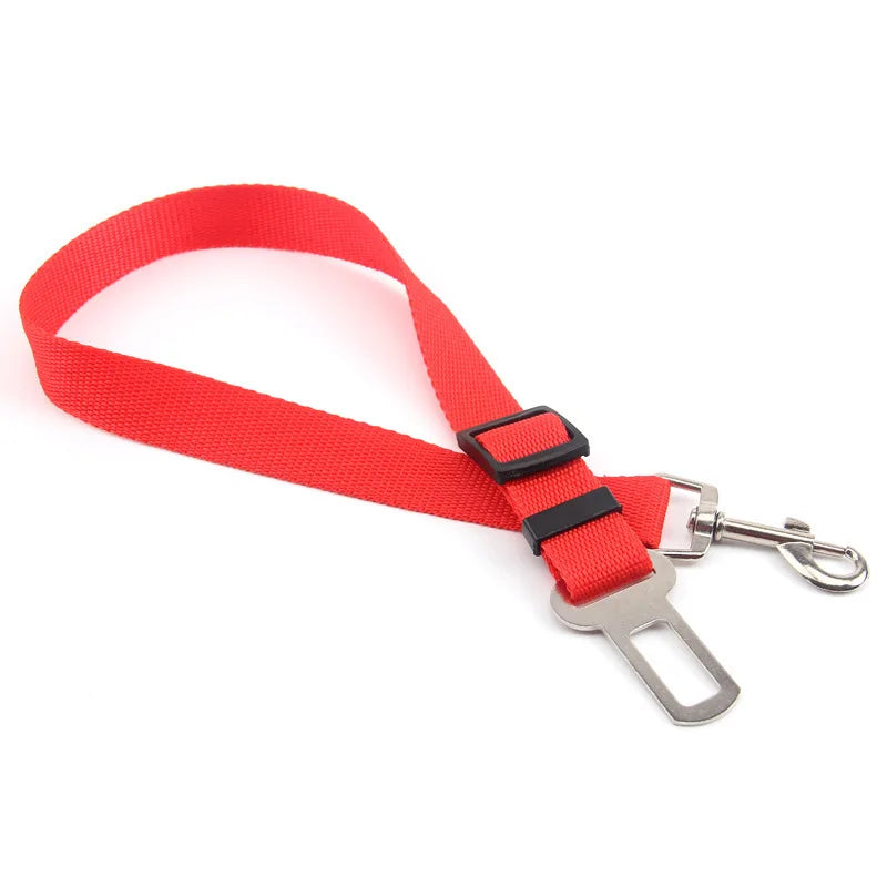 Ceinture de sécurité