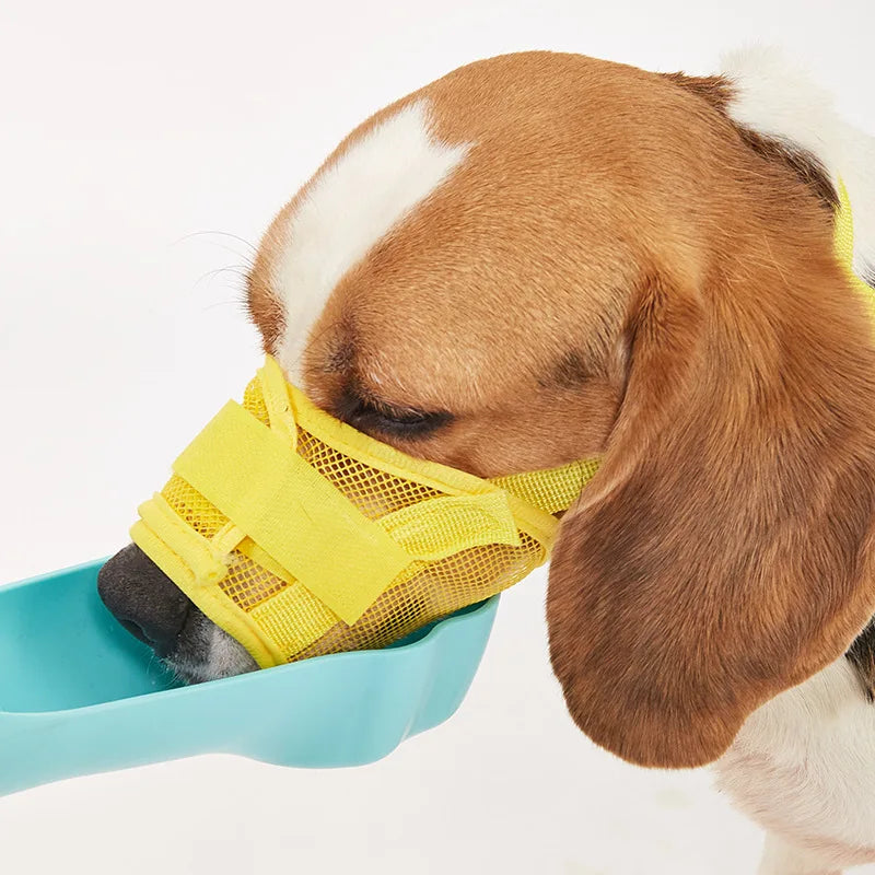 Muselière pour chien
