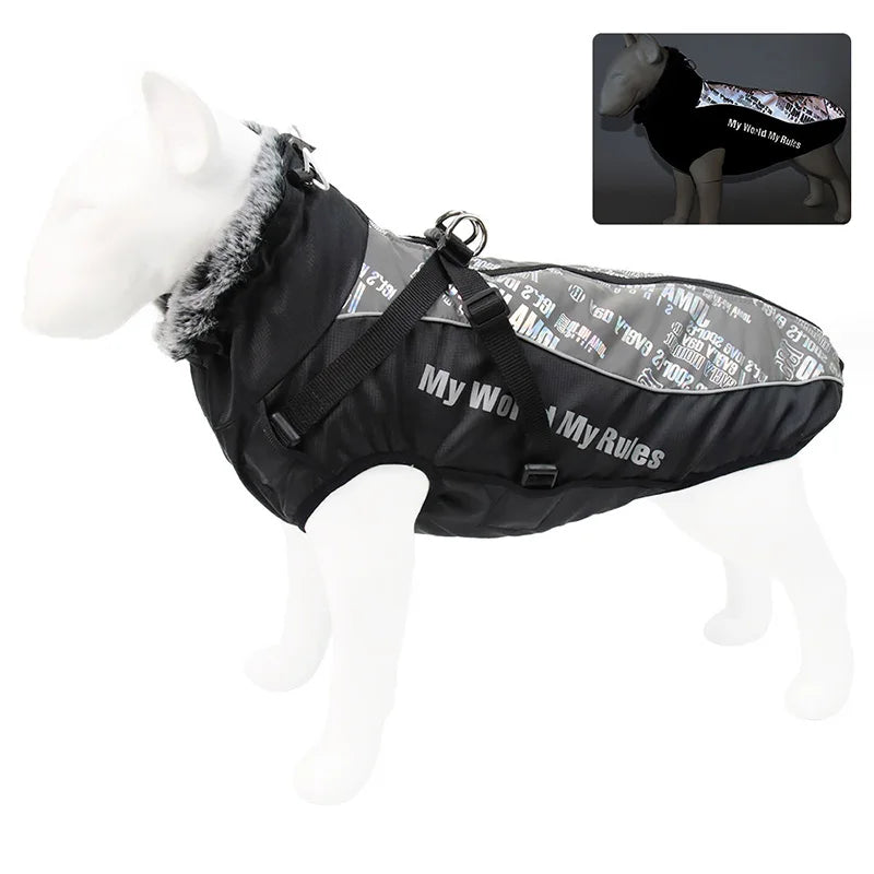 Harnais imperméable hiver