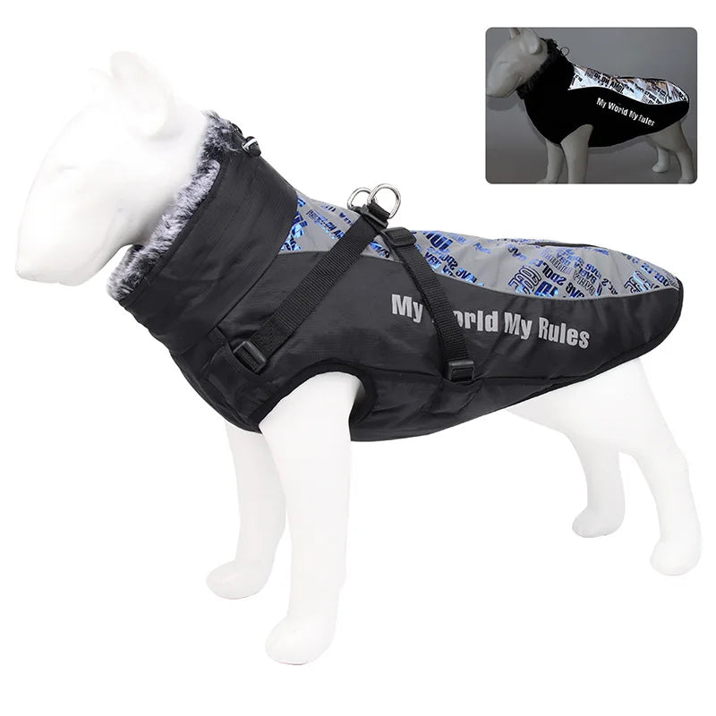 Harnais imperméable hiver