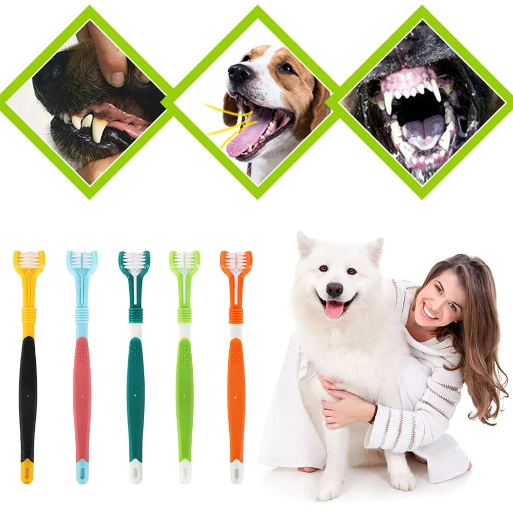 Brosse à dents chien