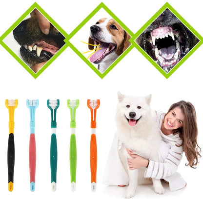 Brosse à dents chien