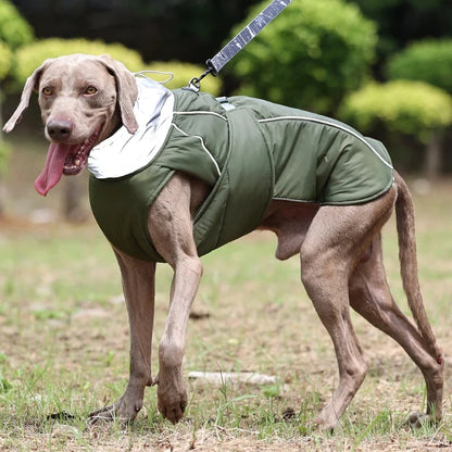 Imperméable pour chien