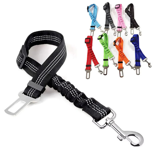 Ceinture de sécurité