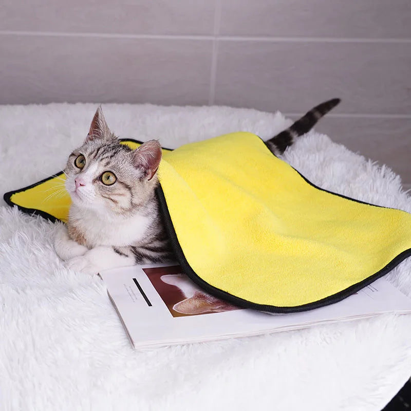 Serviette absorbante
