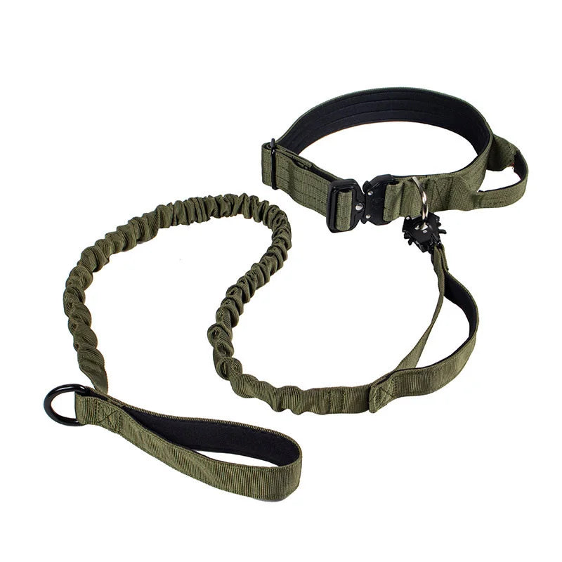 Collier + laisse tactique