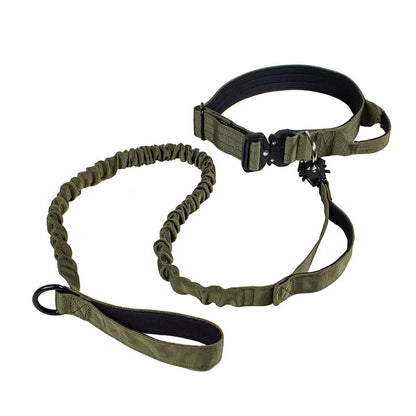 Collier + laisse tactique
