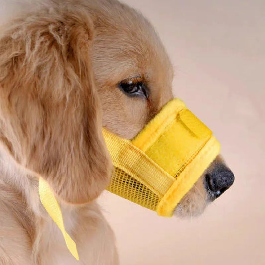 Muselière pour chien