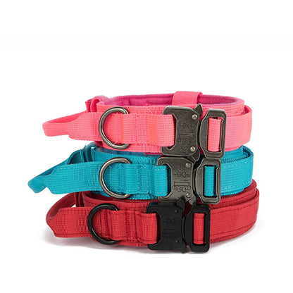 Collier tactique grand chien