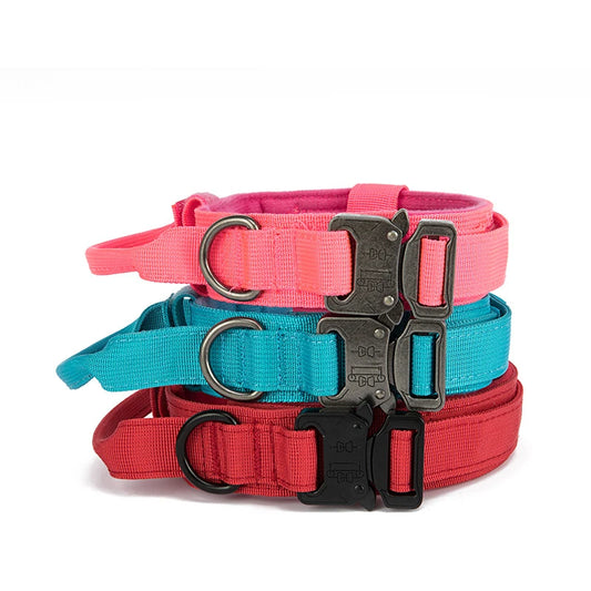 Collier tactique grand chien