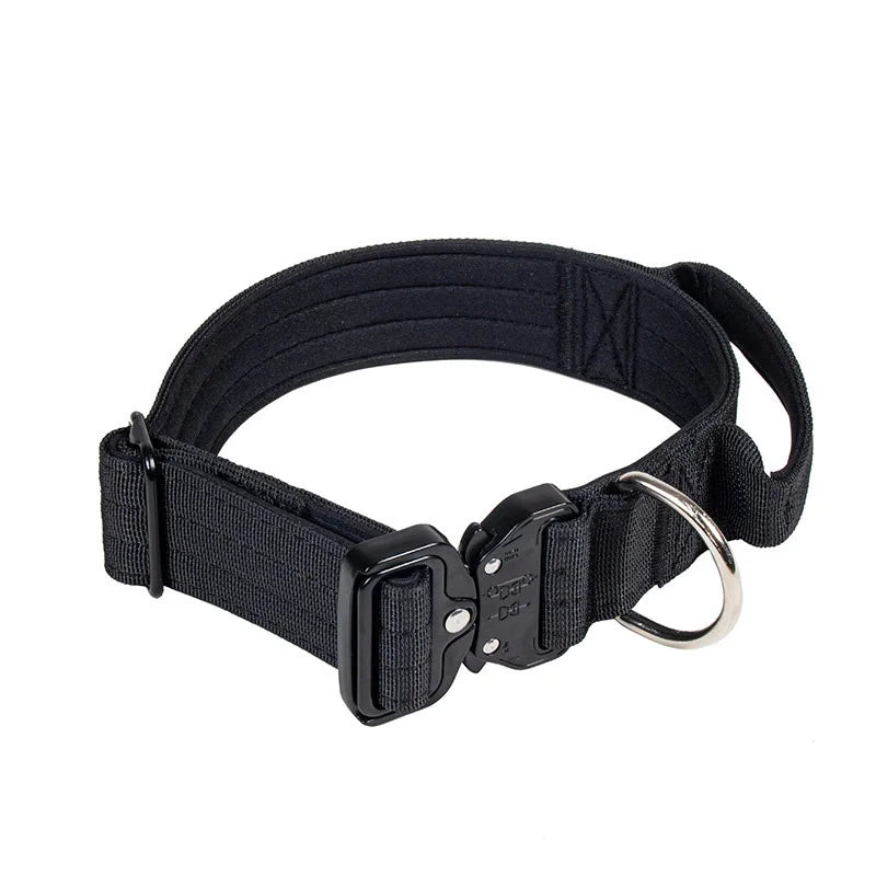 Collier + laisse tactique