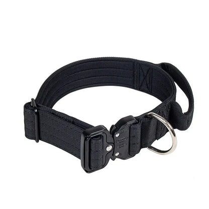 Collier + laisse tactique