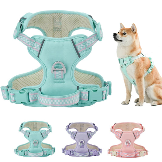 Harnais pastel