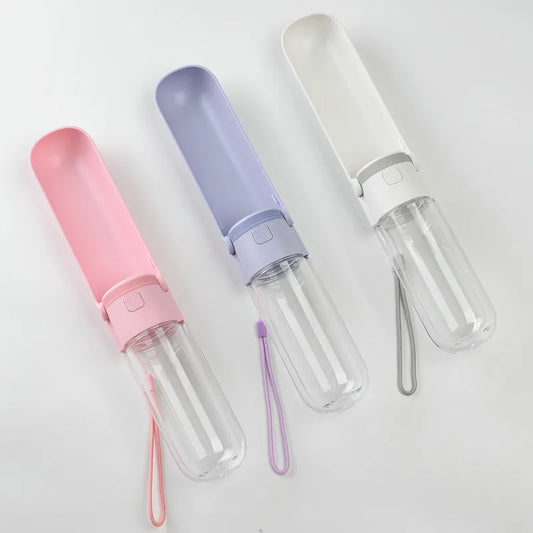 Bouteille d'eau portable