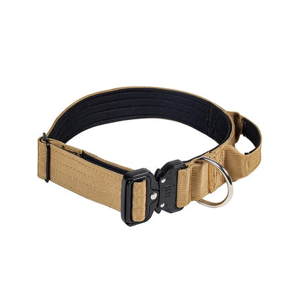 Collier + laisse tactique