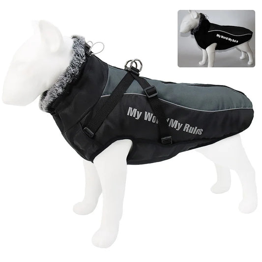Harnais imperméable hiver