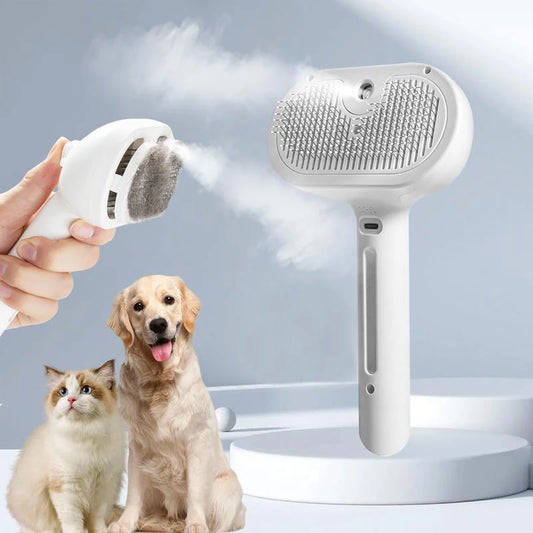 Brosse vapeur