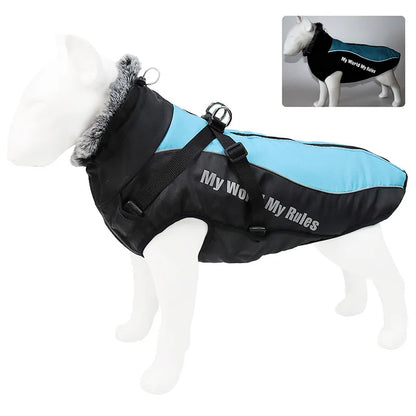 Harnais imperméable hiver
