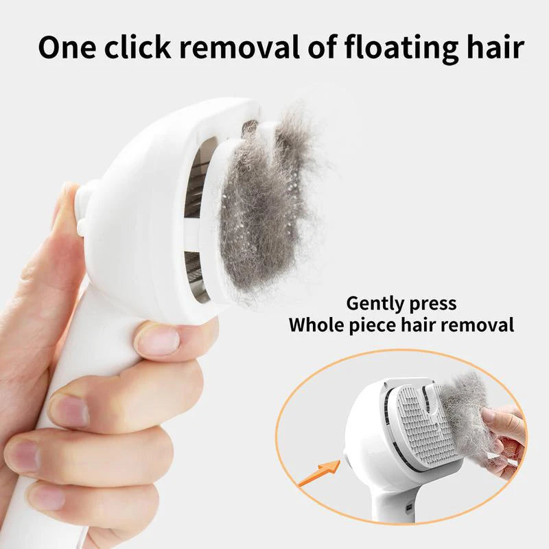 Brosse vapeur