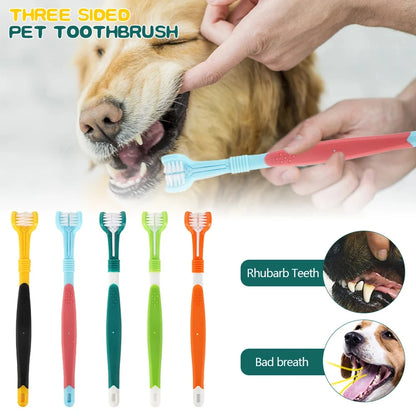 Brosse à dents chien