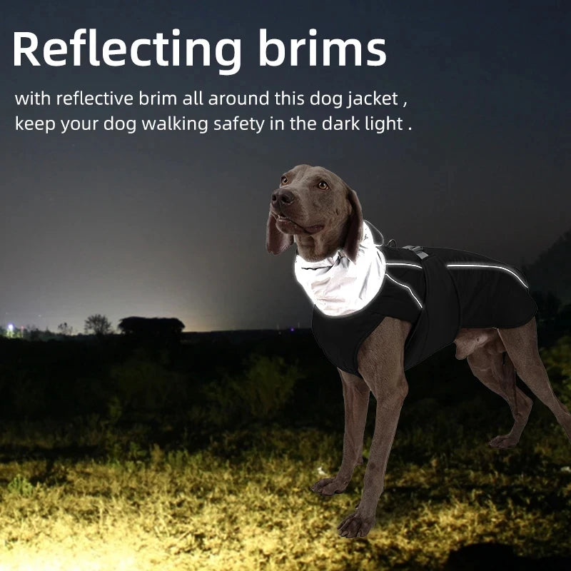 Imperméable pour chien