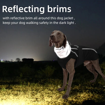 Imperméable pour chien
