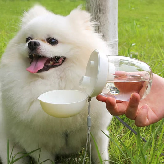 Bouteille pour chien 300/550ml
