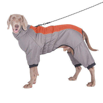 Harnais d'hiver XL