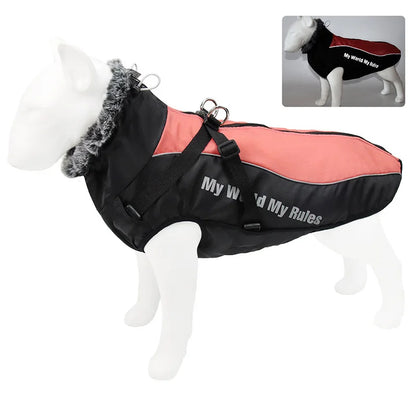 Harnais imperméable hiver