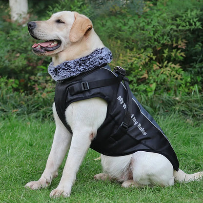 Harnais imperméable hiver