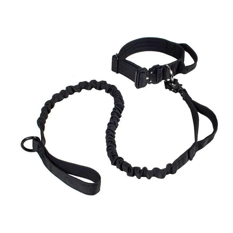 Collier + laisse tactique