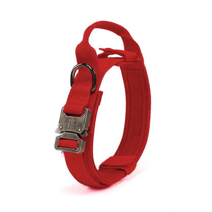 Collier tactique grand chien