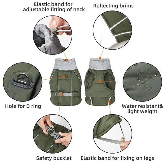 Imperméable pour chien