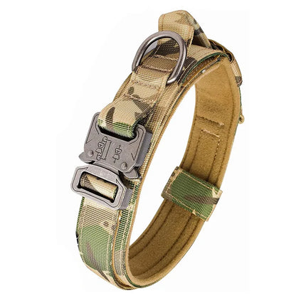 Collier tactique grand chien