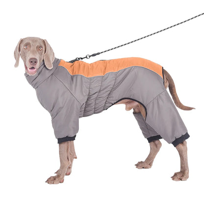 Harnais d'hiver XL