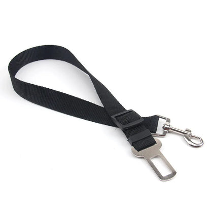 Ceinture de sécurité