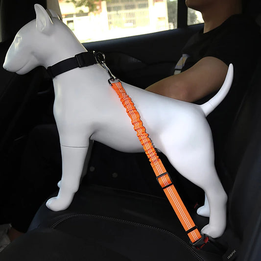 Attache voiture