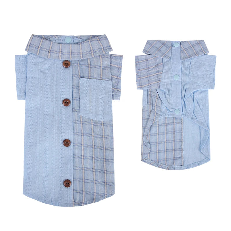 Chemise chien