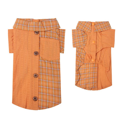 Chemise chien