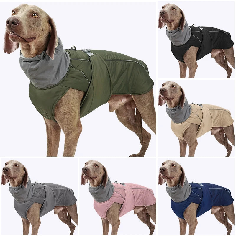 Imperméable pour chien