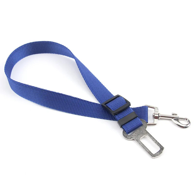 Ceinture de sécurité