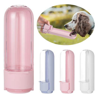 Bouteille d'eau portable