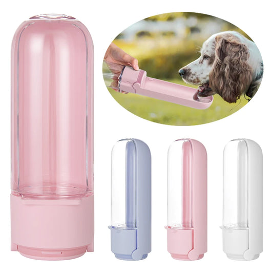 Bouteille d'eau portable