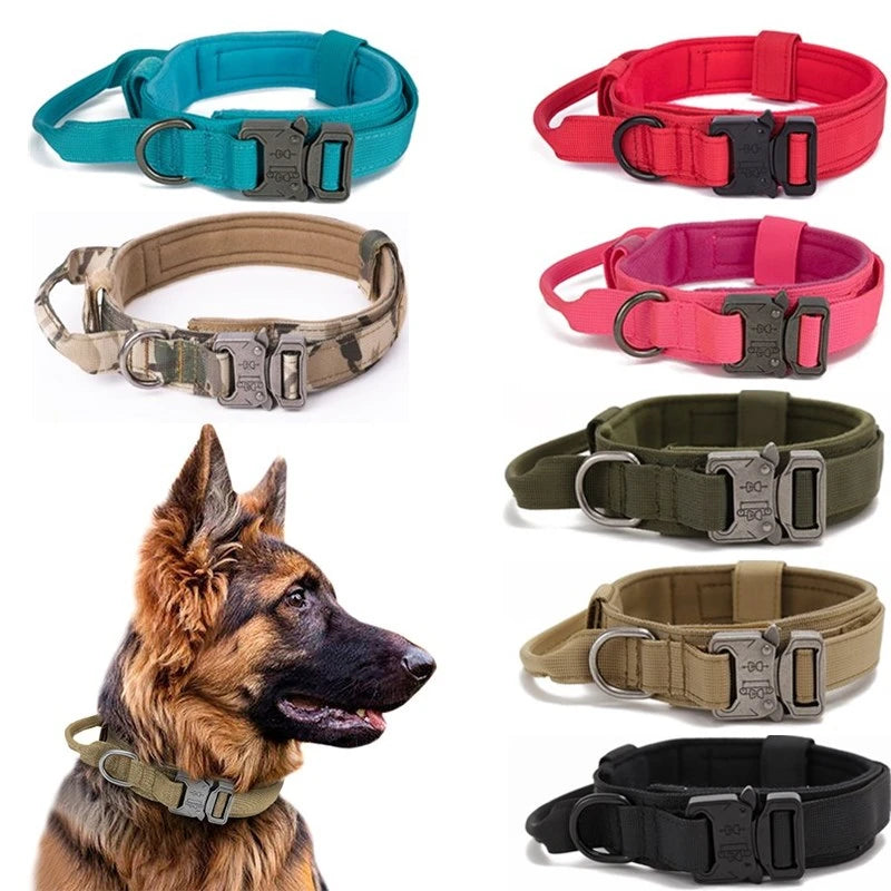 Collier tactique grand chien
