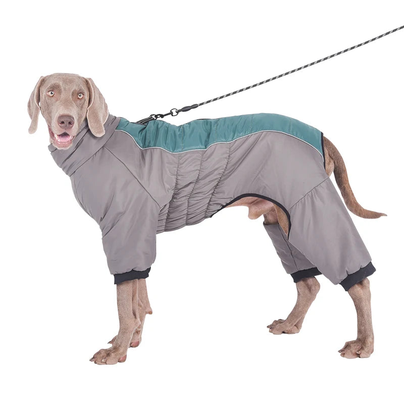 Harnais d'hiver XL
