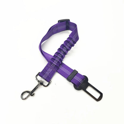 Ceinture de sécurité