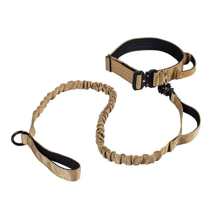 Collier + laisse tactique
