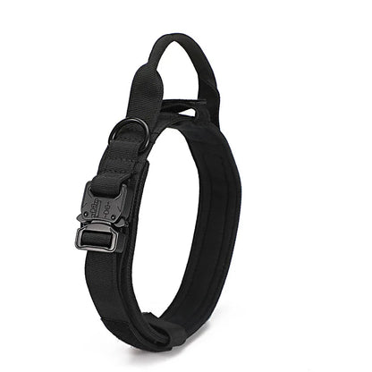 Collier tactique grand chien