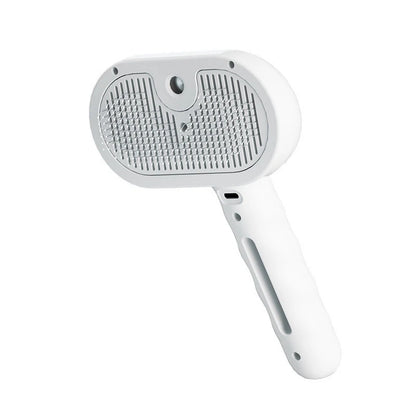 Brosse vapeur